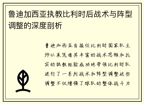 鲁迪加西亚执教比利时后战术与阵型调整的深度剖析